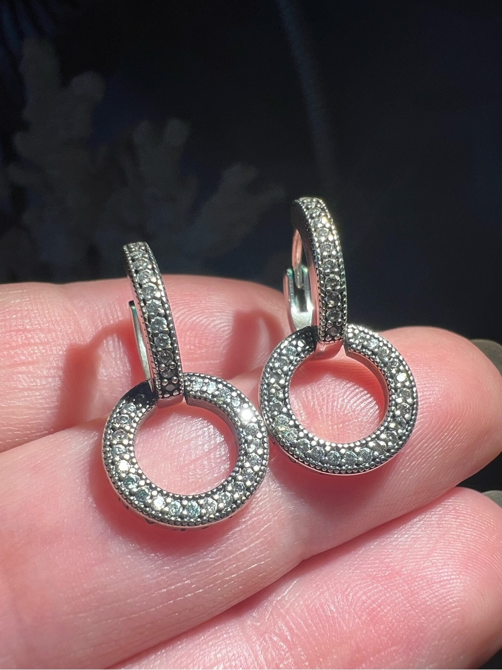 Sparkling Double Hoop Earrings - Picture 10 of 12